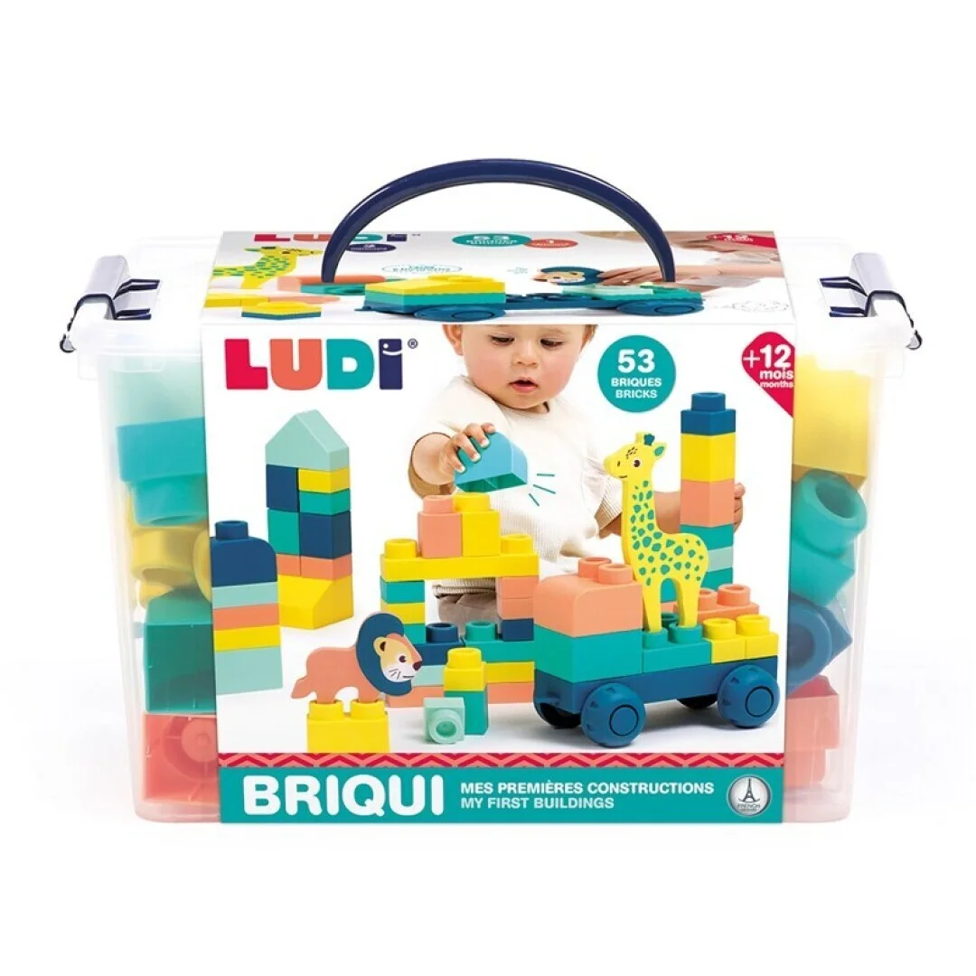 Ludi Briqui mis primeras construcciones