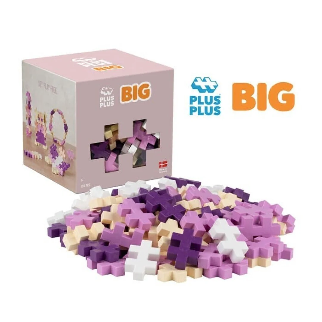 [3491] Cubo BIG Bloom 100 piezas